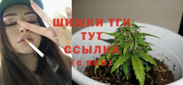 spice Дмитриев