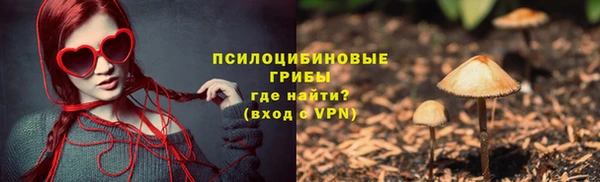 гашик Дмитровск