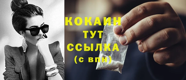 гашик Дмитровск
