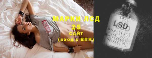 гашик Дмитровск