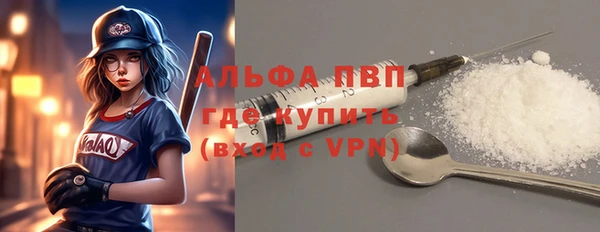 гашик Дмитровск