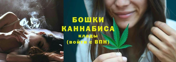 гашик Дмитровск
