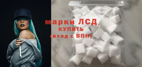 гашик Дмитровск