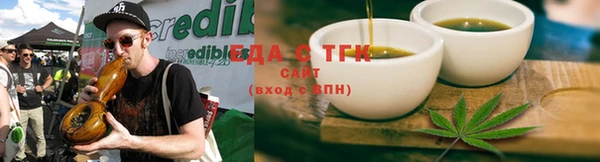 гашик Дмитровск