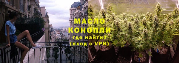 spice Дмитриев