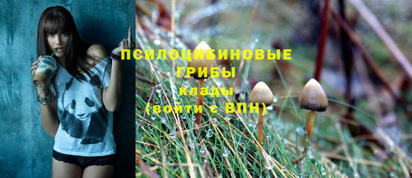 гашик Дмитровск