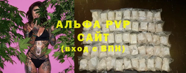 spice Дмитриев