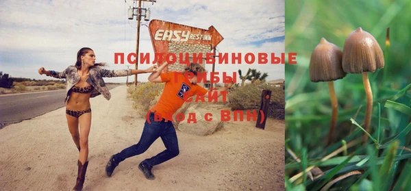 spice Дмитриев