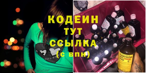 spice Дмитриев
