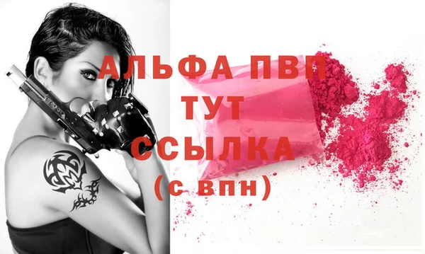 spice Дмитриев