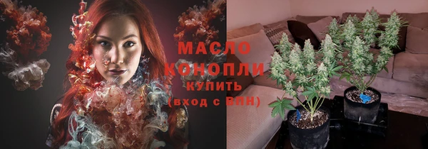 spice Дмитриев