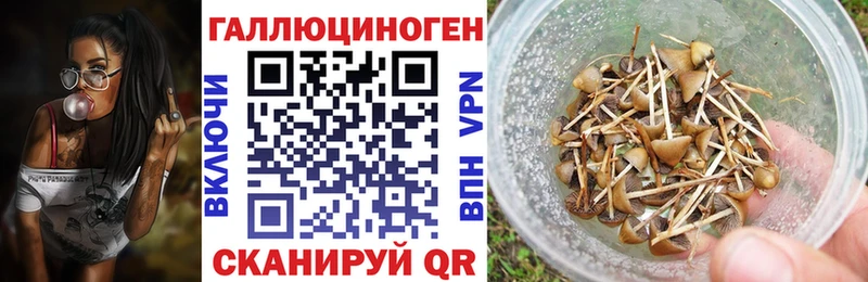 Галлюциногенные грибы Psilocybine cubensis  Купить закладки  Южно-Сахалинск 